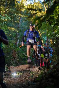 BIB: 
                            <button type="button" onclick="openModal(19239978)" class="btn btn-primary btn-sm float-right btn-popup" data-toggle="modal" data-target=".modal-high-quality">
                        <i class="fas fa-shopping-cart"></i> Add to Cart
                    </button>
                                            <button type="button" onclick="isThisMe(19239978, true)" class="btn btn-success btn-sm float-right btn-popup btn-isme hidden" data-toggle="tooltip" data-placement="bottom" title="นี่คือรูปของคุณใช่ไหม คลิกที่นี่เพื่อเอาเข้าอัลบั้ม">
                        <i class="fas fa-plus"></i> Add to album
                    </button>
                    <button type="button" onclick="isThisMe(19239978, false)" class="btn btn-warning btn-sm float-right btn-popup btn-isnotme hidden">
                        <i class="fas fa-ban"></i> Remove from album
                    </button>